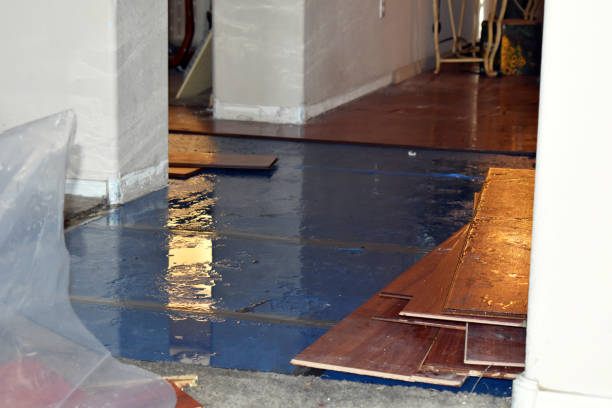 Professional Water Extraction technician working in Pentwater, MI